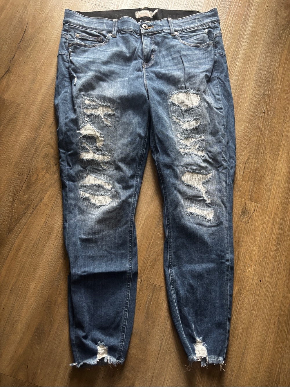 torrid Distressed Skinny Jeans in Blue Wash